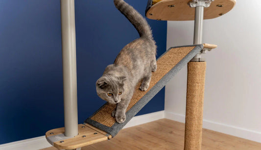 Cat Scratcher