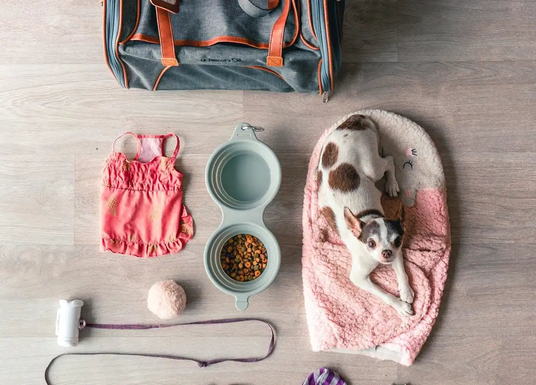 Pet Travel Product