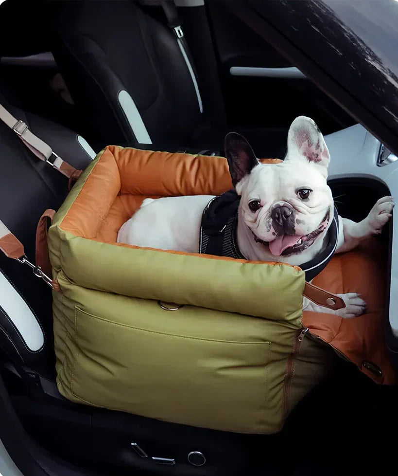 Pet Travel Made Easy: Top Dog & Cat Carriers, Travel Bags, and Accessories You Need