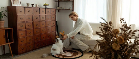 Cat Scratching Carpet for Indoor Cats: Benefits, Uses, and Tips