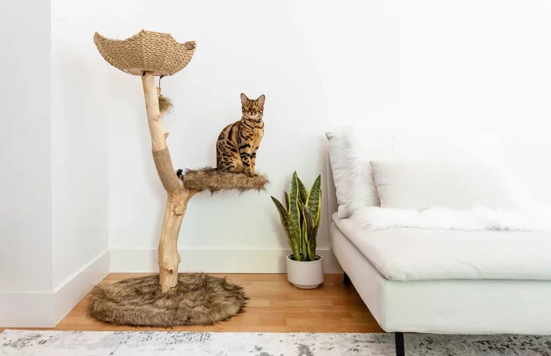  Premium Pet Store Cat Tree