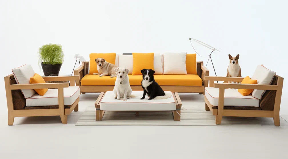 Pet Furniture for Cats & Dogs: Comfort & Style