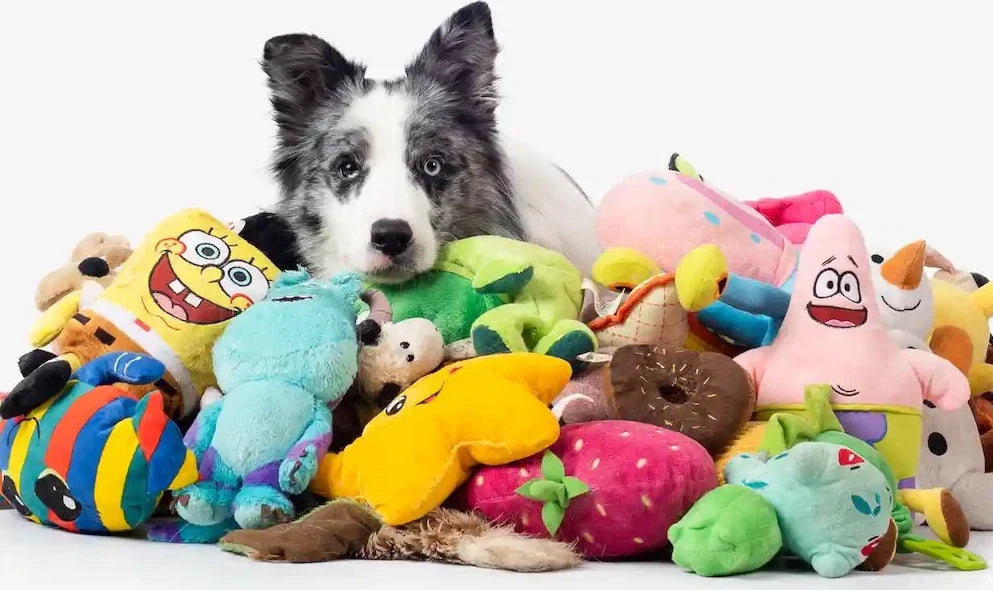 Pet Toys Accessories 