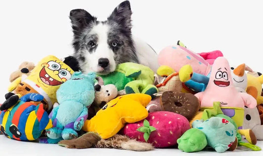 Pet Toys Accessories 