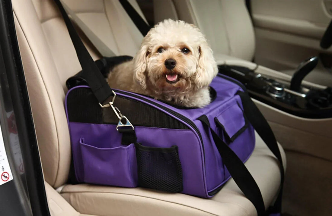 The Ultimate Guide to Choosing a Safe and Comfortable Pet Travel Carrier