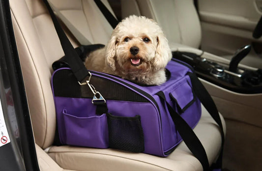 The Ultimate Guide to Choosing a Safe and Comfortable Pet Travel Carrier