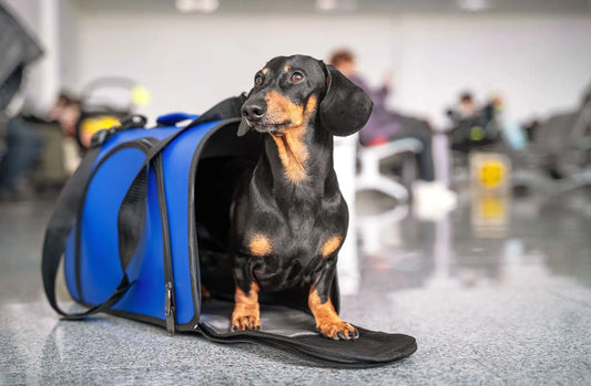 Premium Pet Carriers