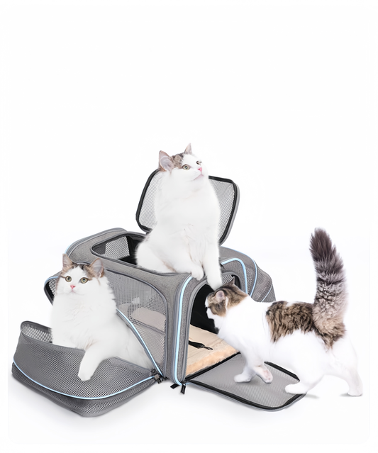 Expandable Pet Carrier for Cats and Small Dogs