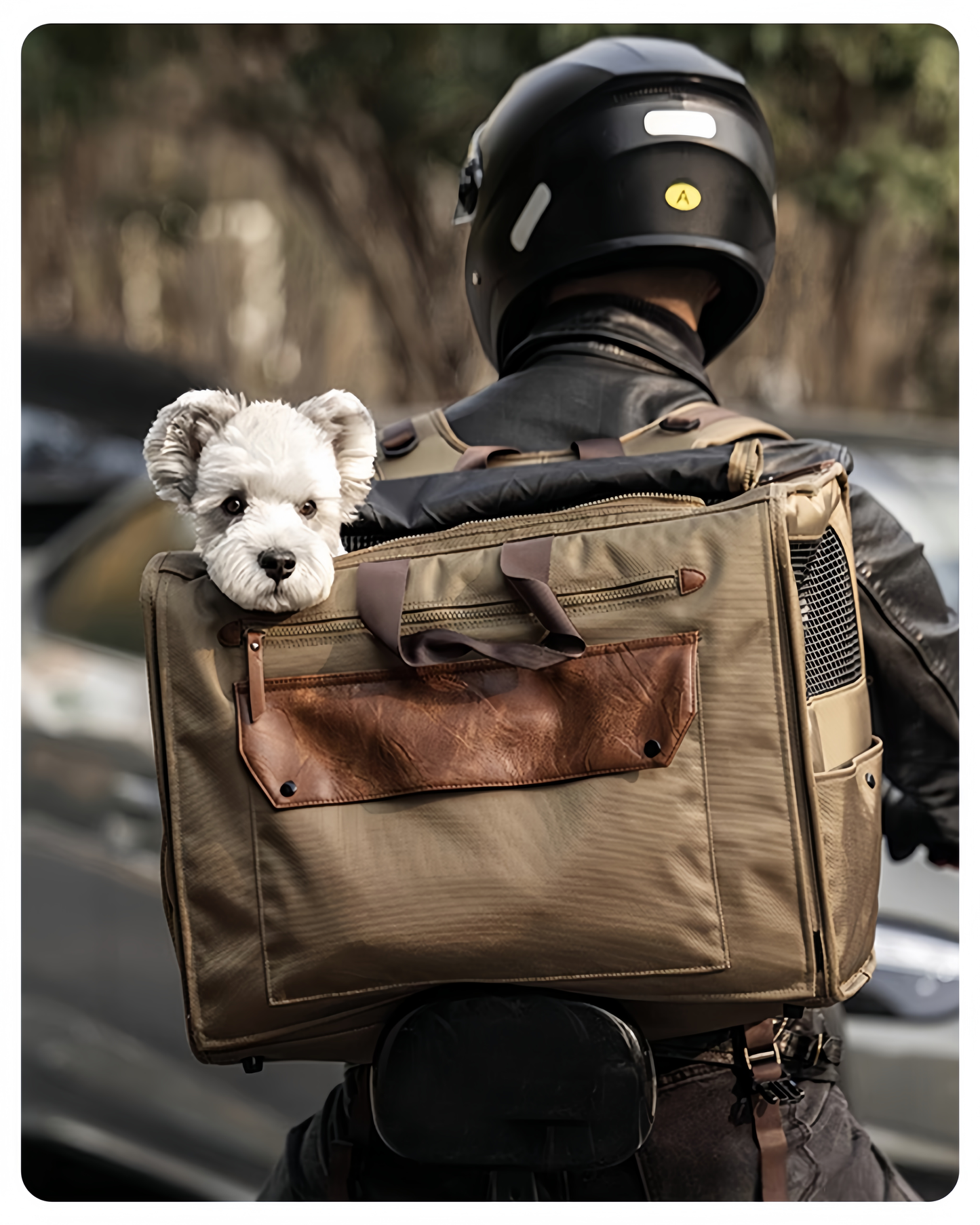 All-Season Multitravel Pet Carrier