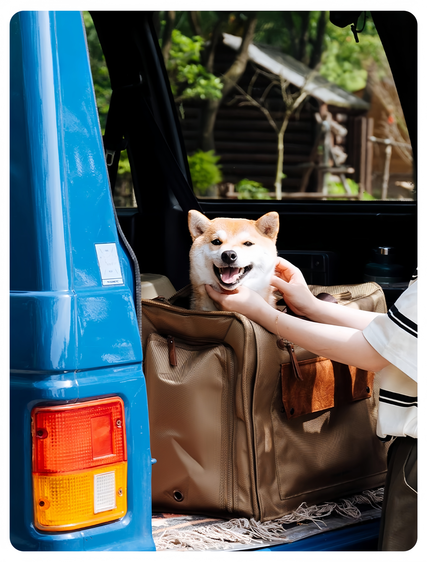 All-Season Multitravel Pet Carrier