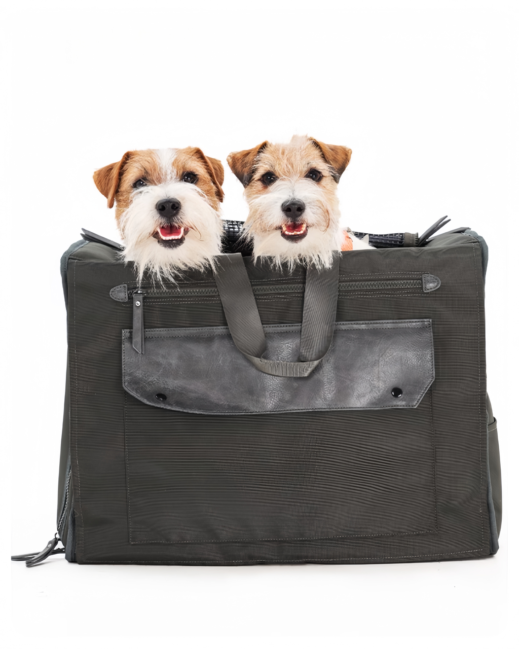 All-Season Multitravel Pet Carrier - image 2
