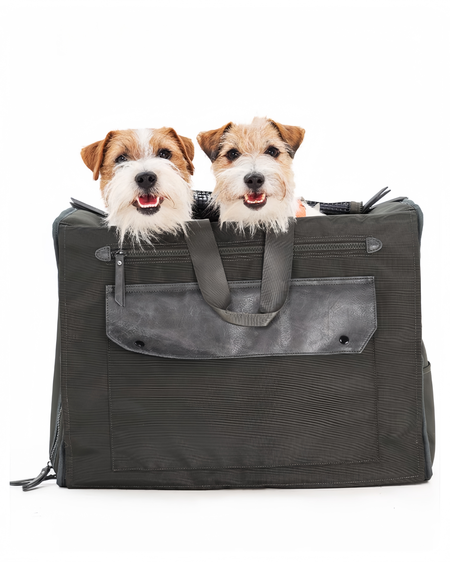 All-Season Multitravel Pet Carrier
