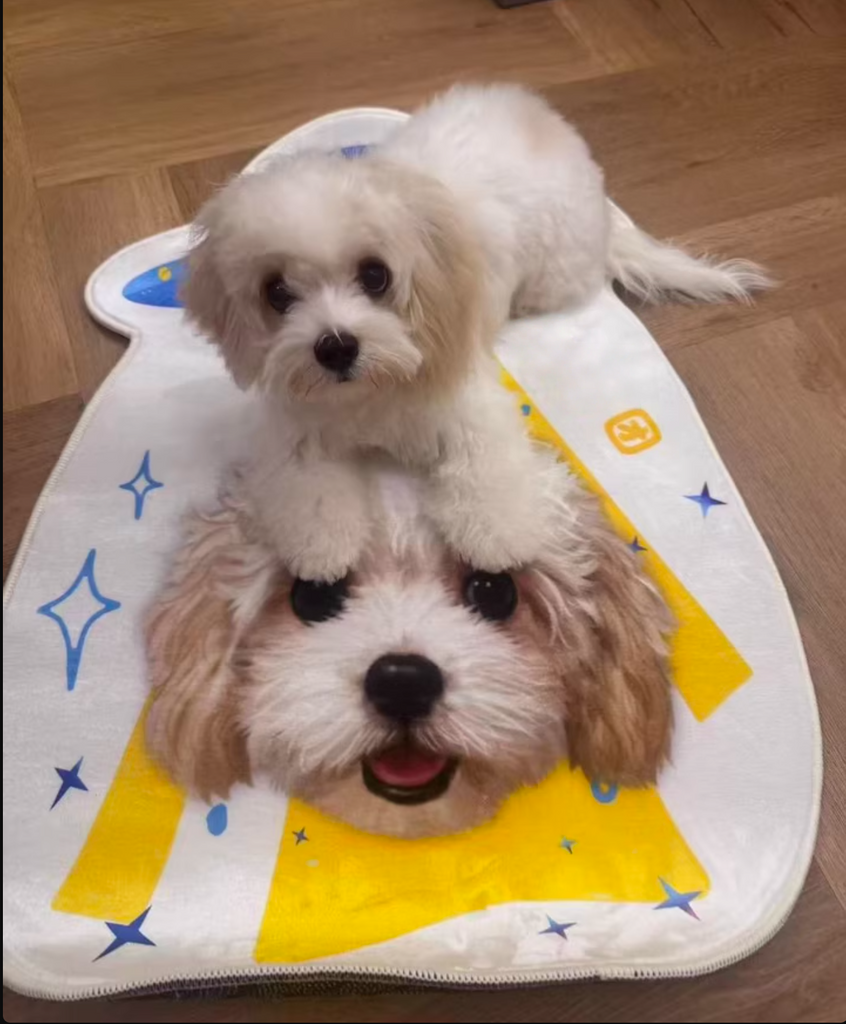 Customised Shaped Pet Carpet – Unique Design for Cats & Dogs - image 18