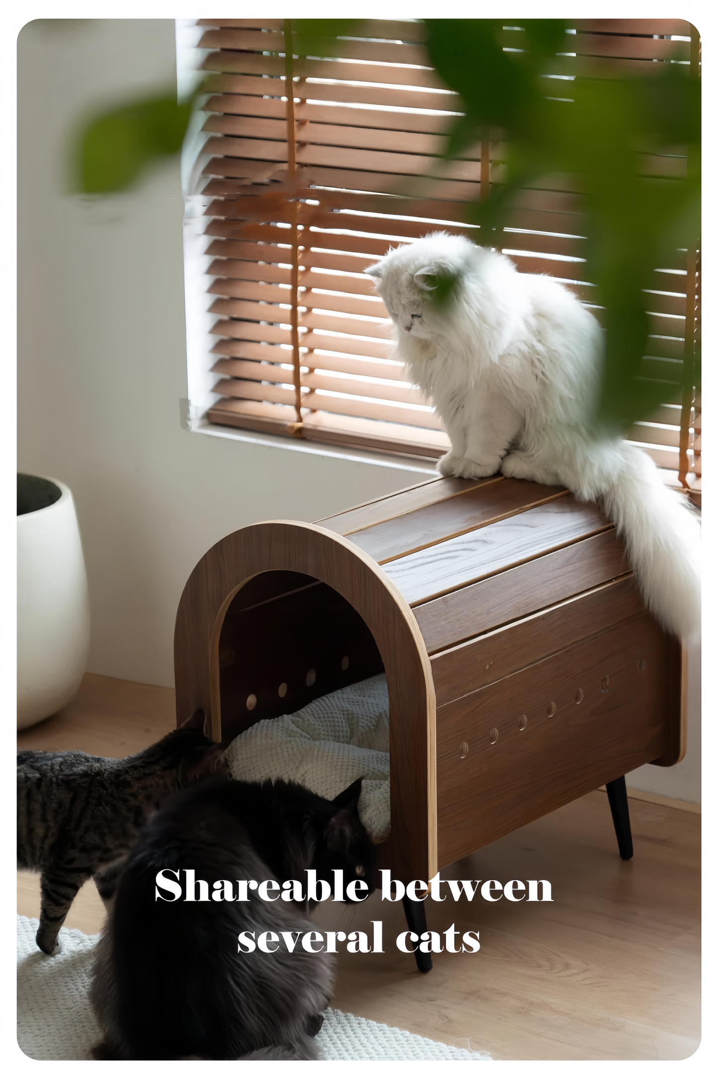 Elevated Wooden Cat Bed for Cozy Naps