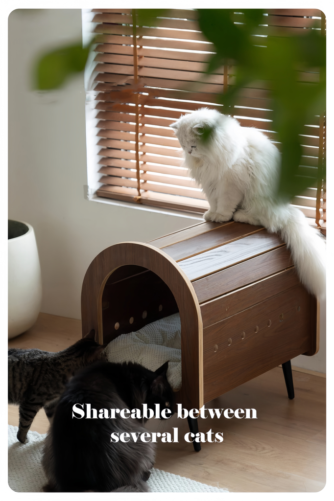 Elevated Wooden Cat Bed for Cozy Naps - image 4