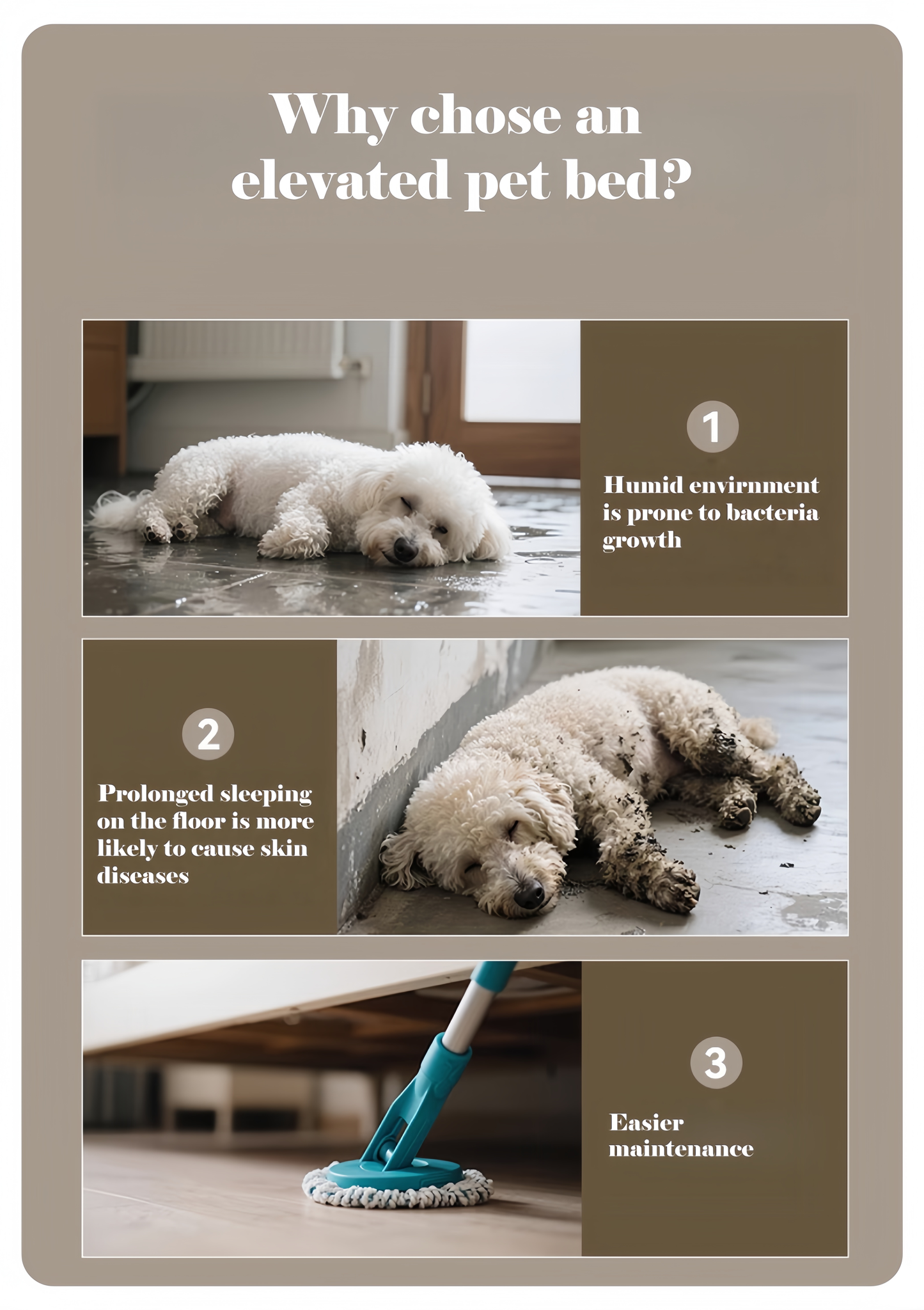 Elevated Wooden Pet Bed for Dogs & Cats