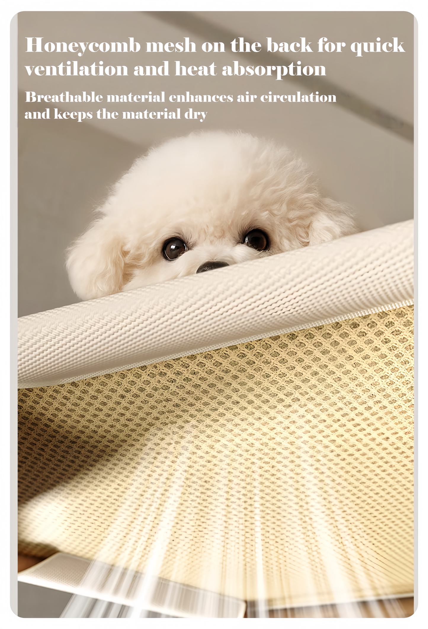 Elevated Wooden Pet Bed for Dogs & Cats