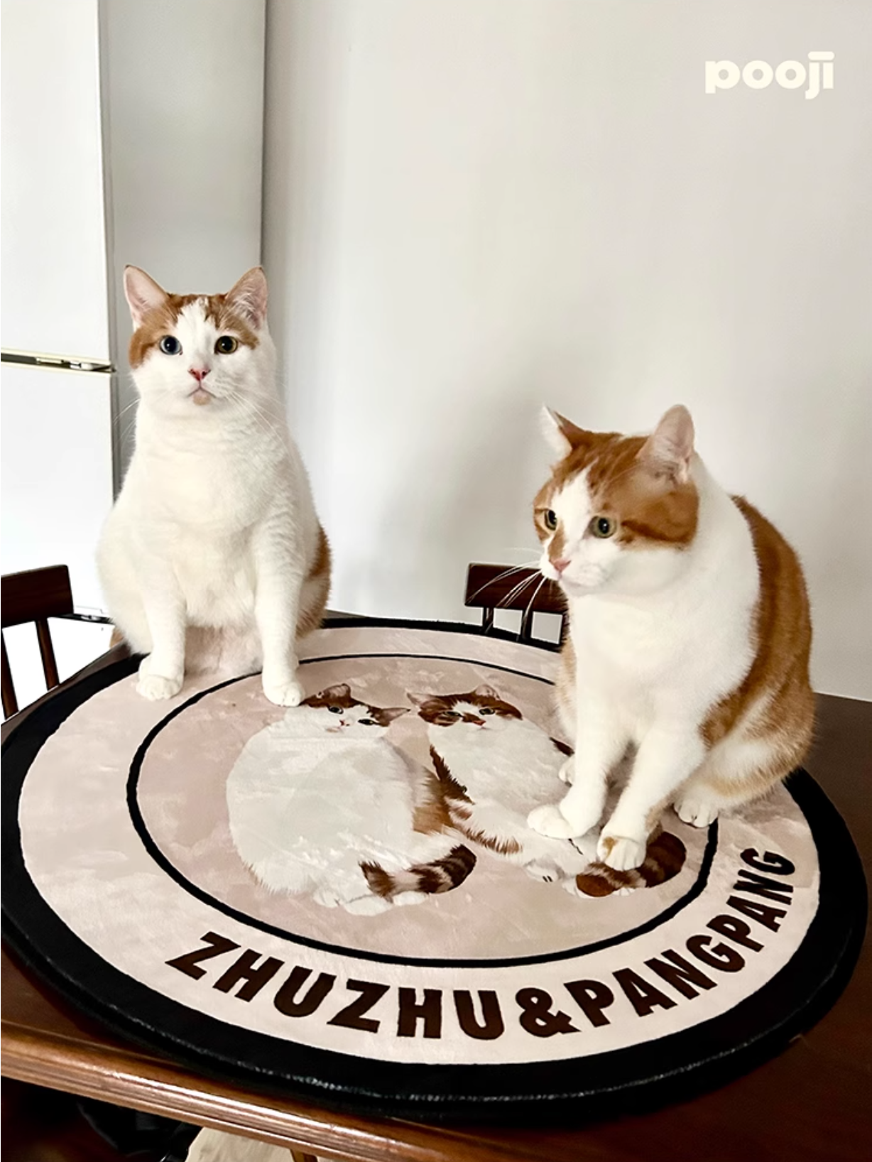 Customised Pet Rugs for Dogs and Cats