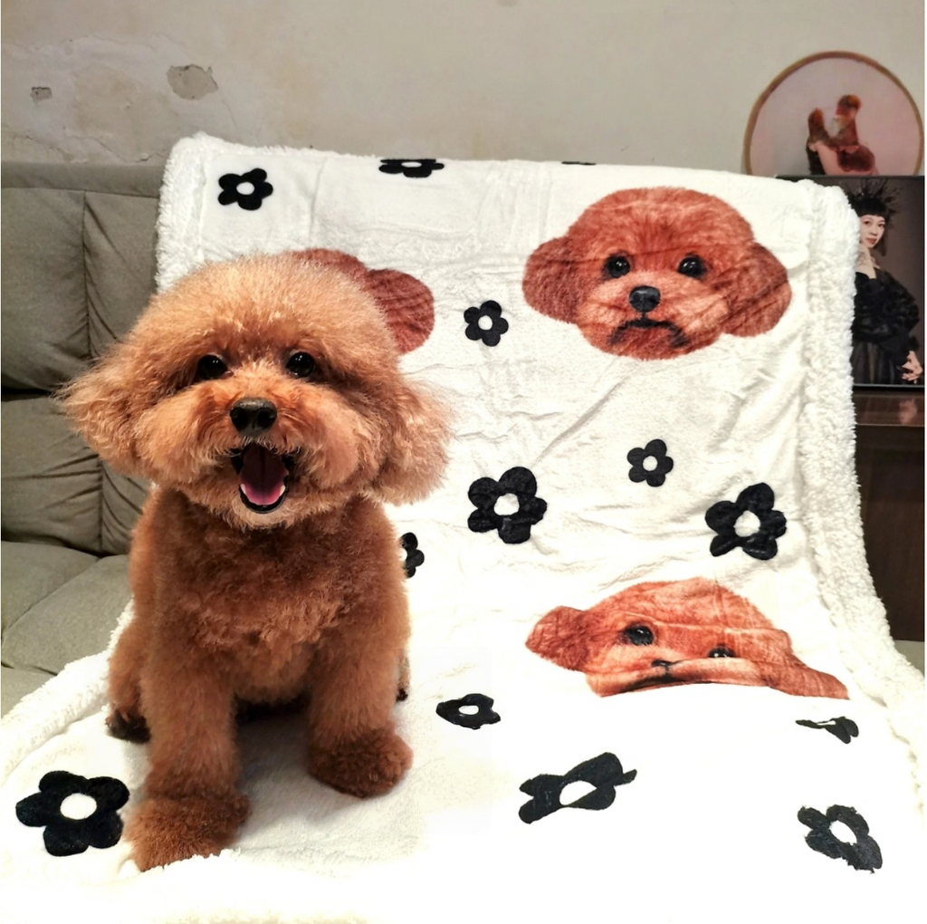 Customised Blanket – Premium Pet Bedding by Lusa Life - image 6