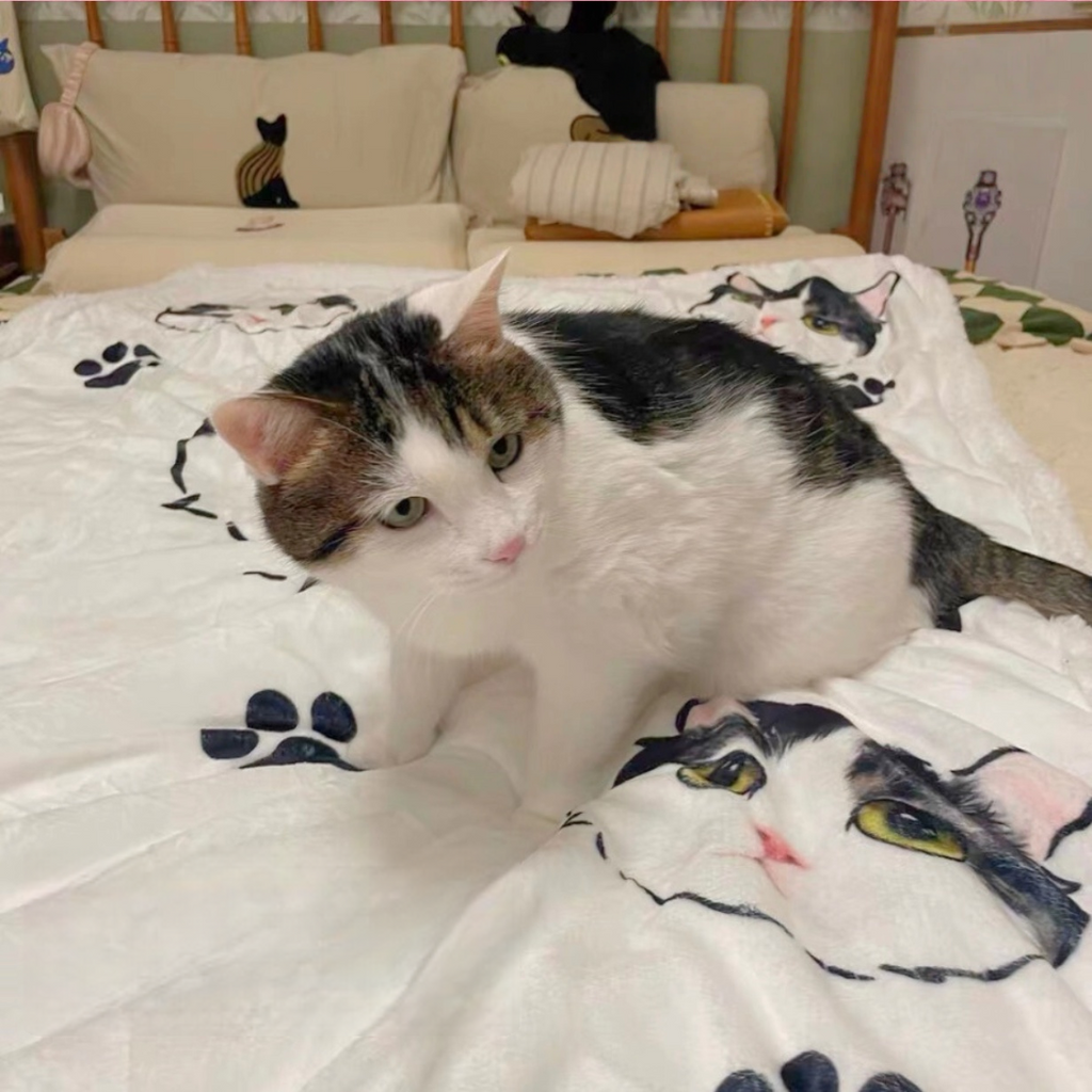 Customised Blanket – Premium Pet Bedding by Lusa Life - image 8