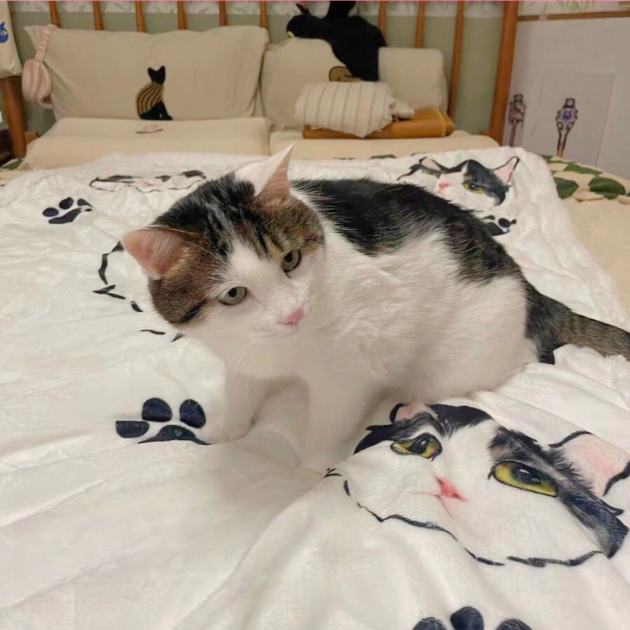 Customised Blanket – Premium Pet Bedding by Lusa Life