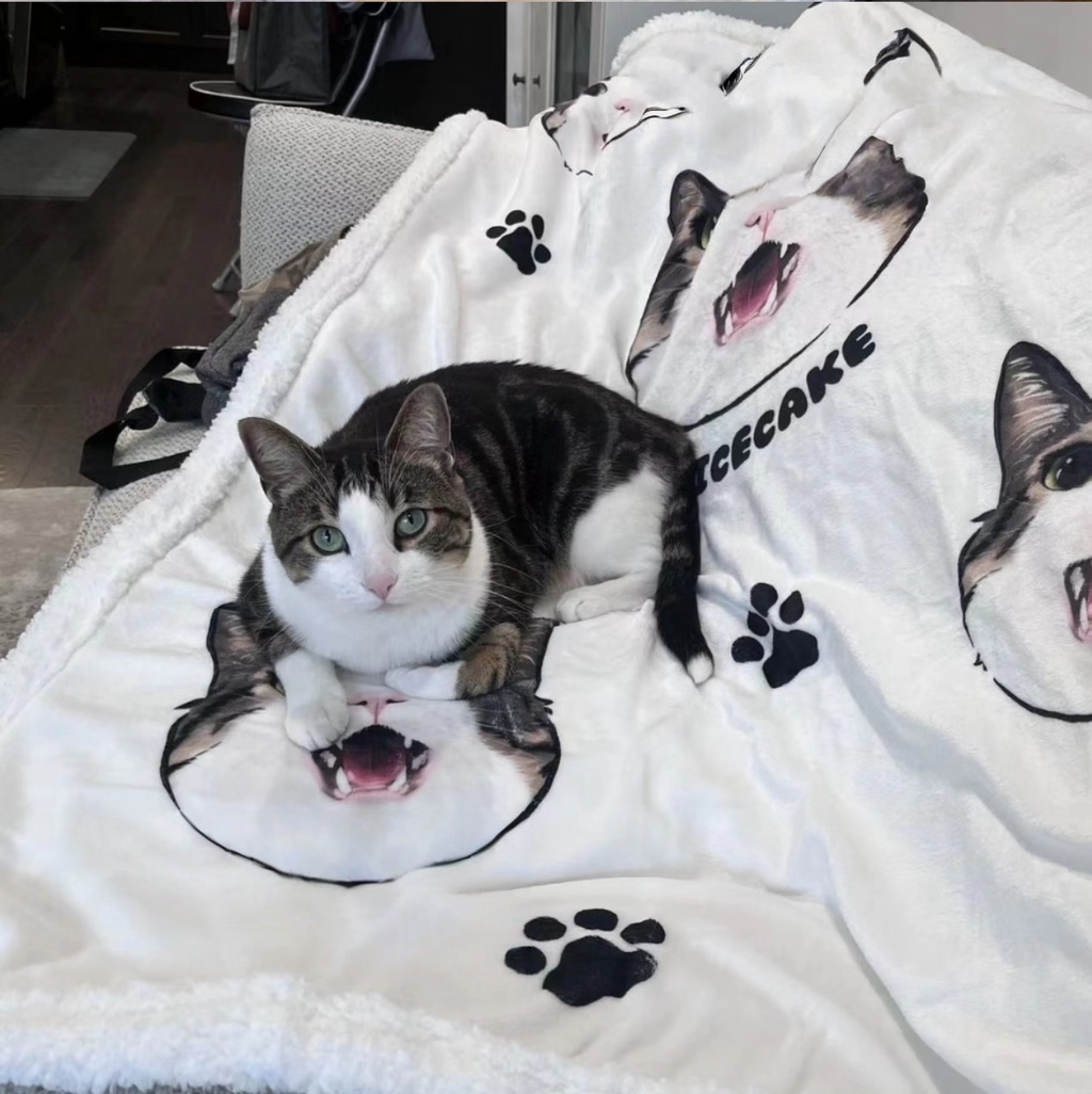 Customised Blanket – Premium Pet Bedding by Lusa Life - image 9