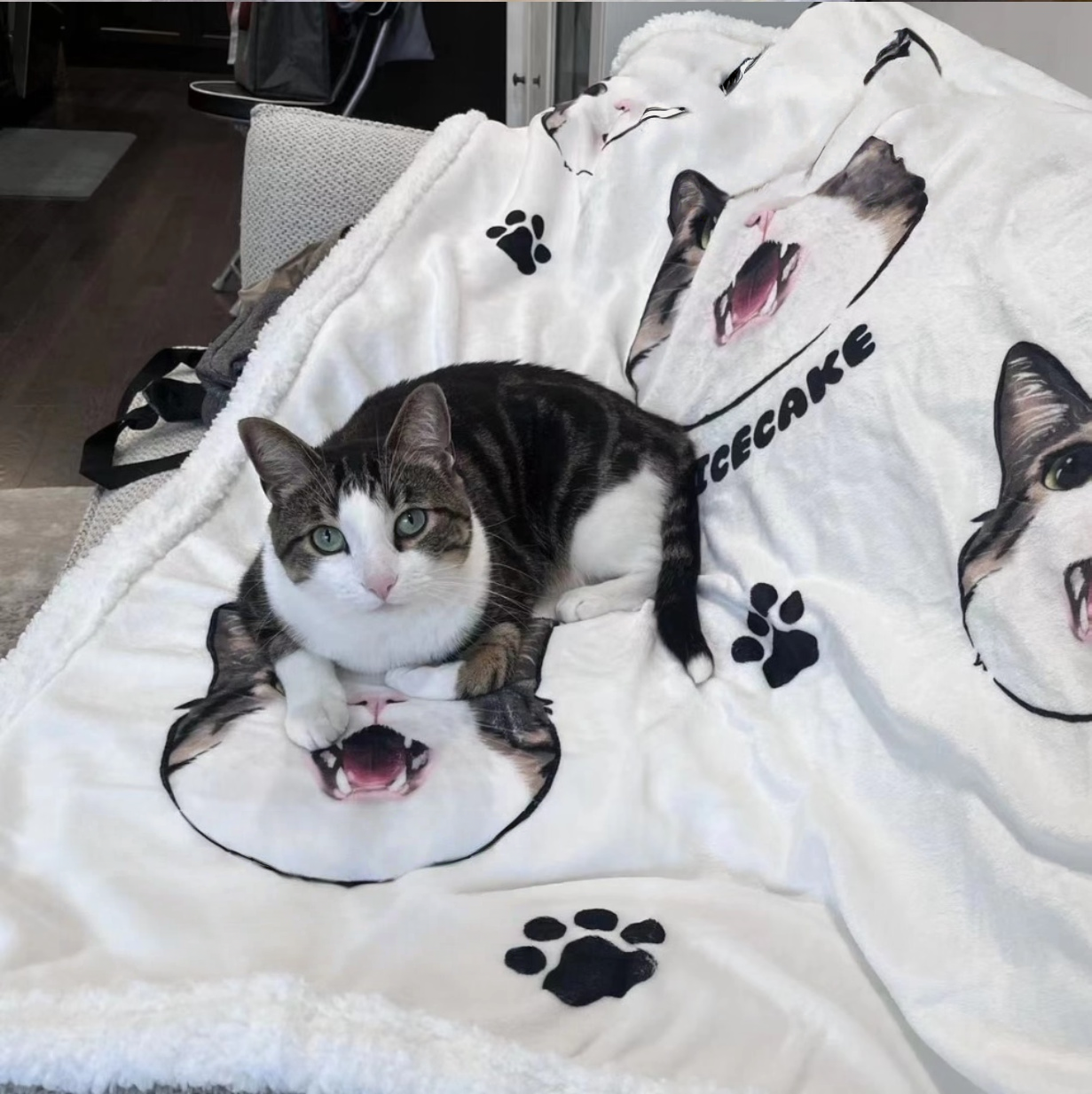 Customised Blanket – Premium Pet Bedding by Lusa Life