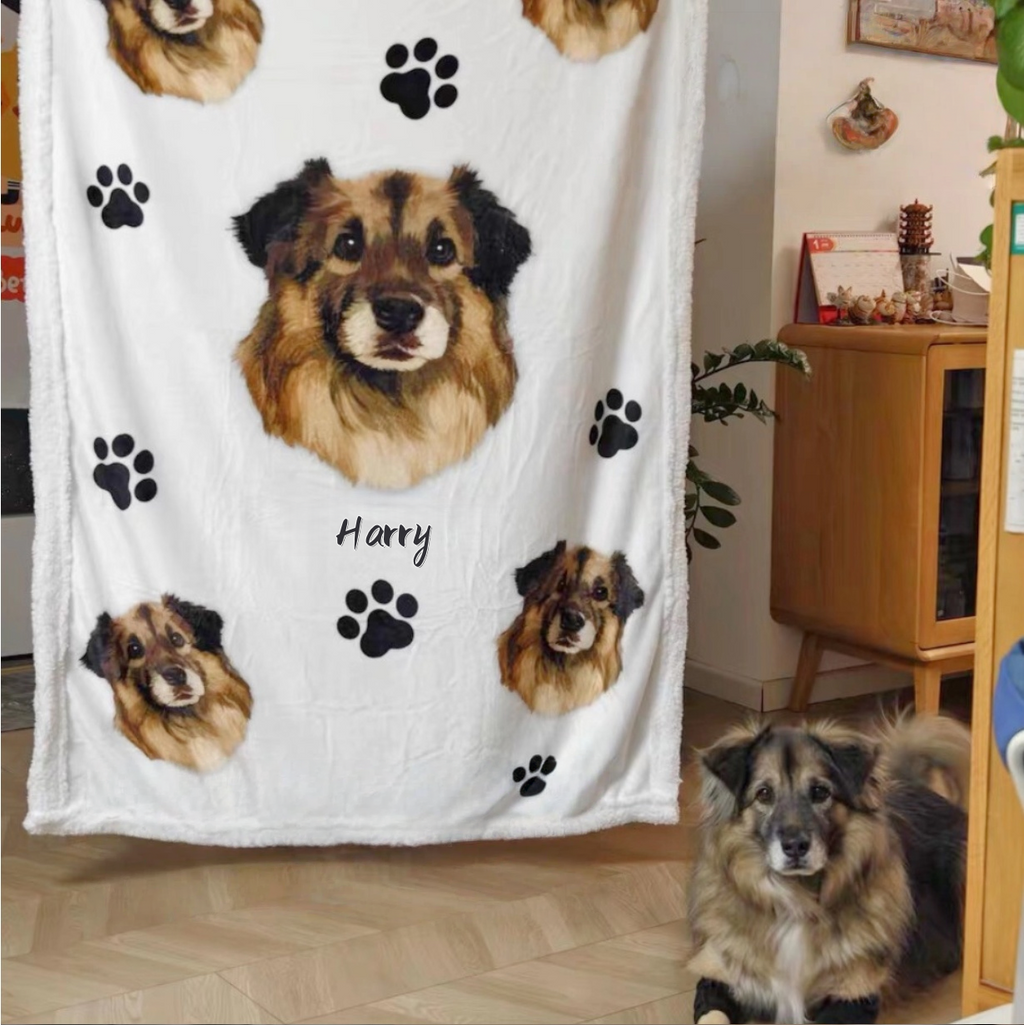 Customised Blanket – Premium Pet Bedding by Lusa Life - image 5