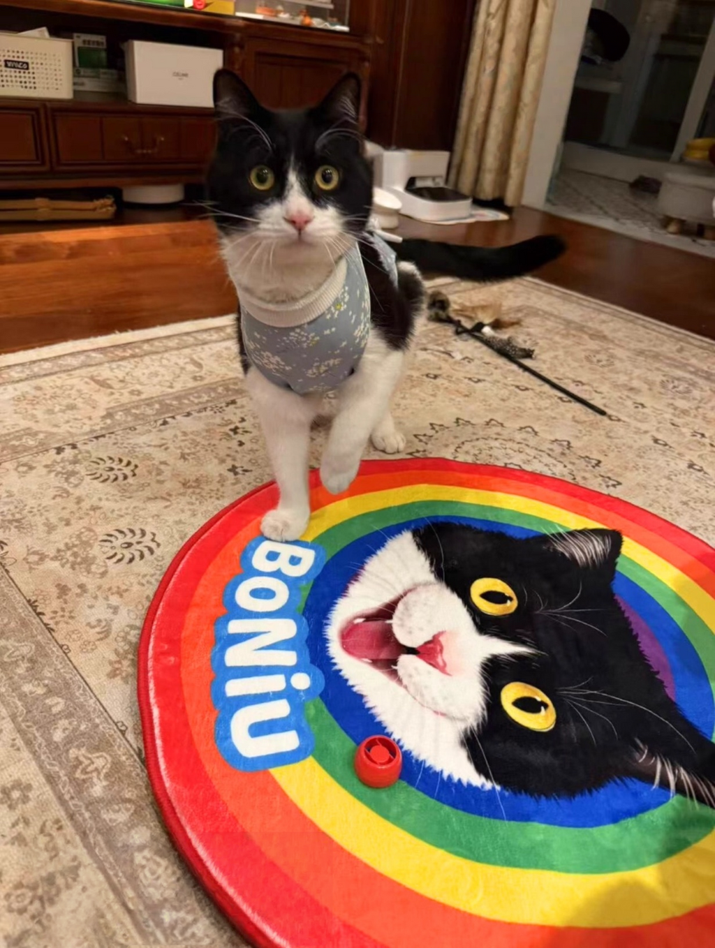 Customised Carpet for Cats & Dogs - image 25