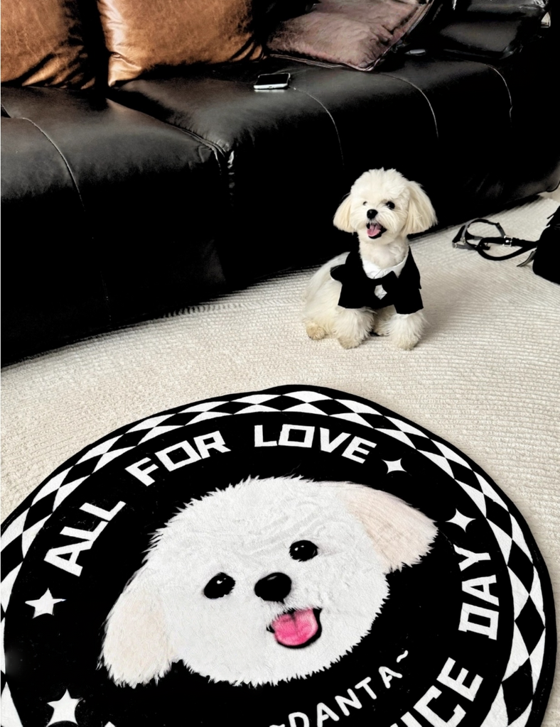 Customised Carpet for Cats & Dogs - image 23