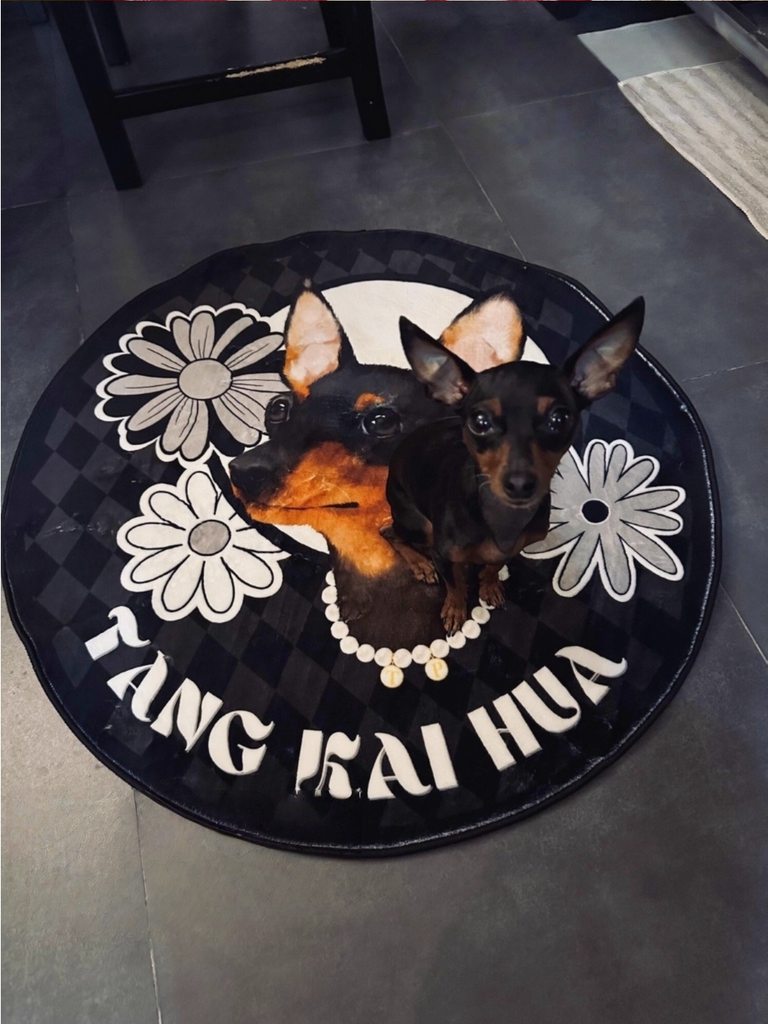 Customised Carpet for Cats & Dogs - image 20