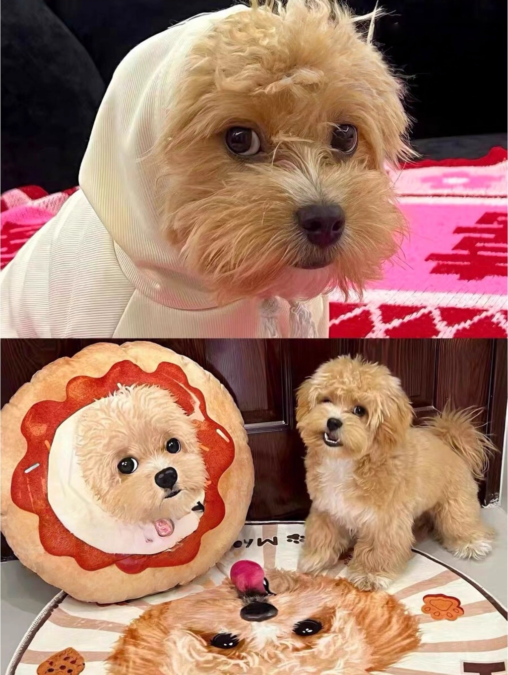 Customised Pet Pillow – Luxury Soft Plush Bed - image 11