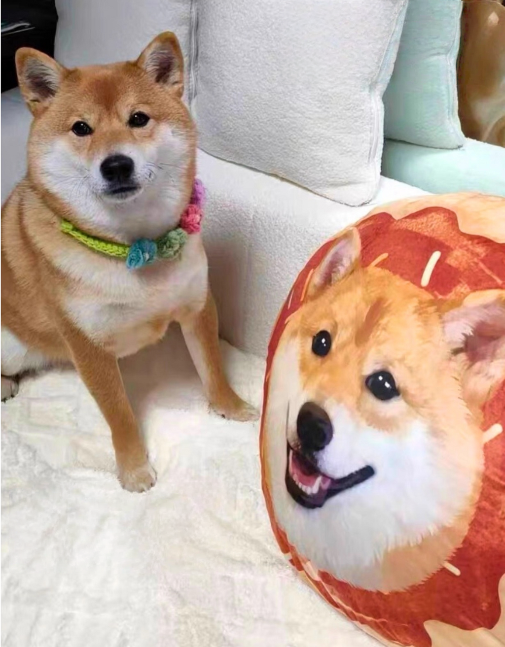 Customised Pet Pillow – Luxury Soft Plush Bed - image 5