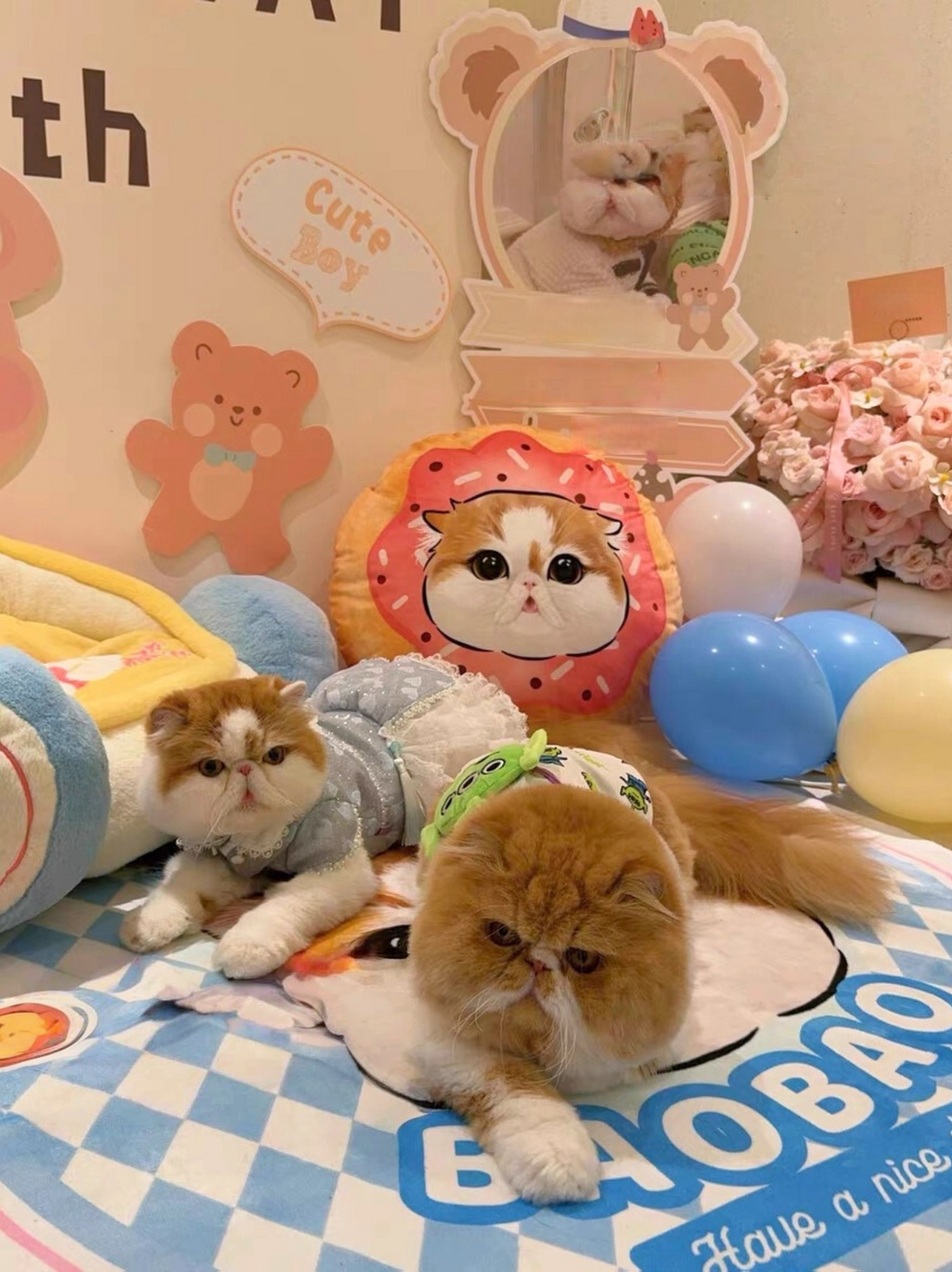 Customised Pet Pillow – Luxury Soft Plush Bed - image 8