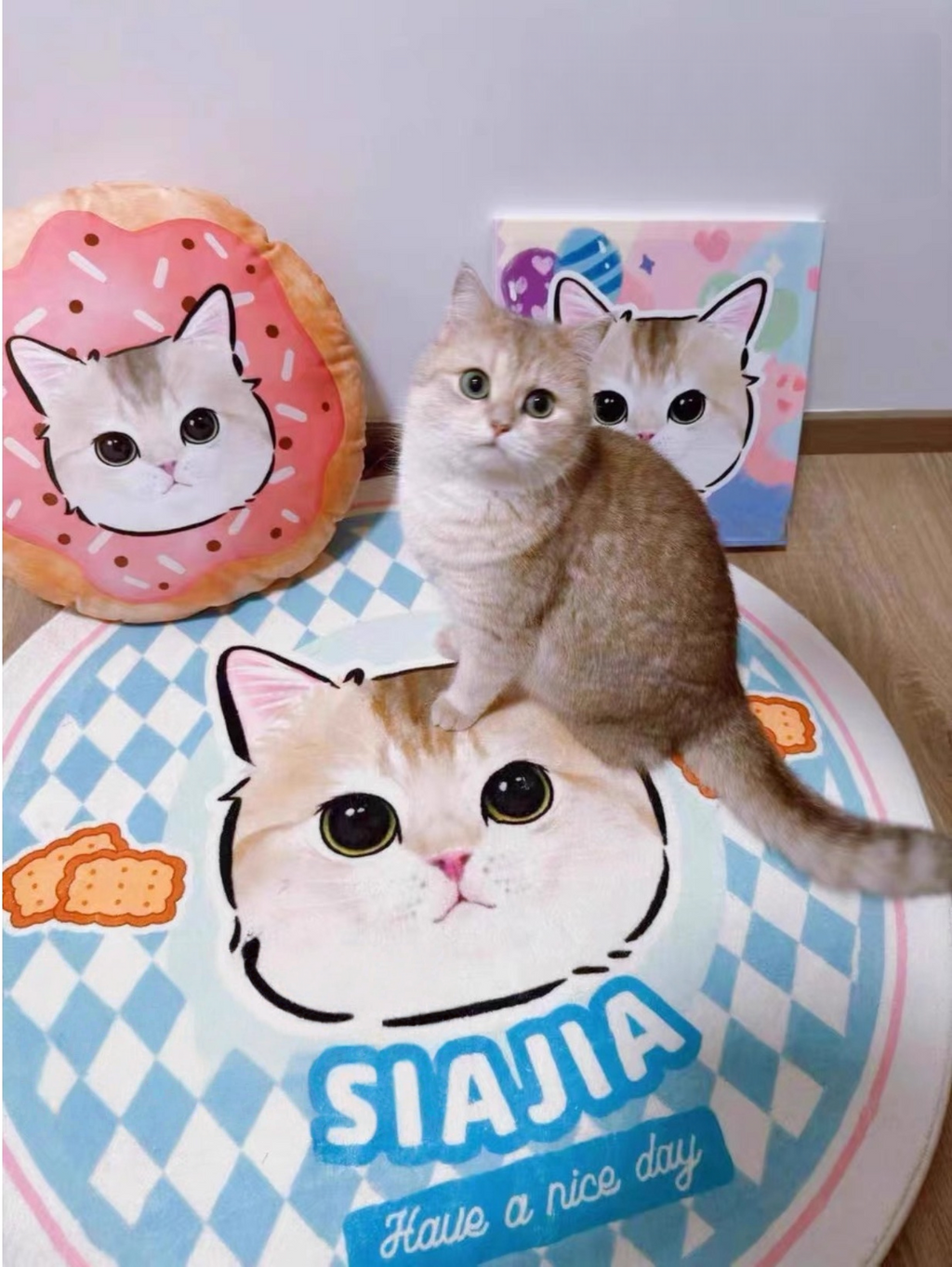 Customised Pet Pillow – Luxury Soft Plush Bed - image 10