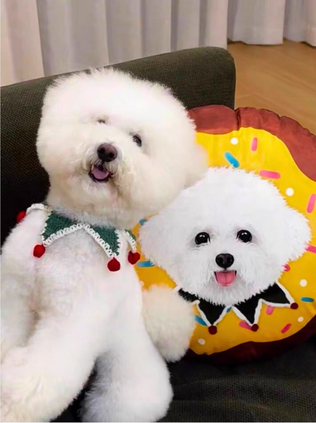 Customised Pet Pillow – Luxury Soft Plush Bed - image 4