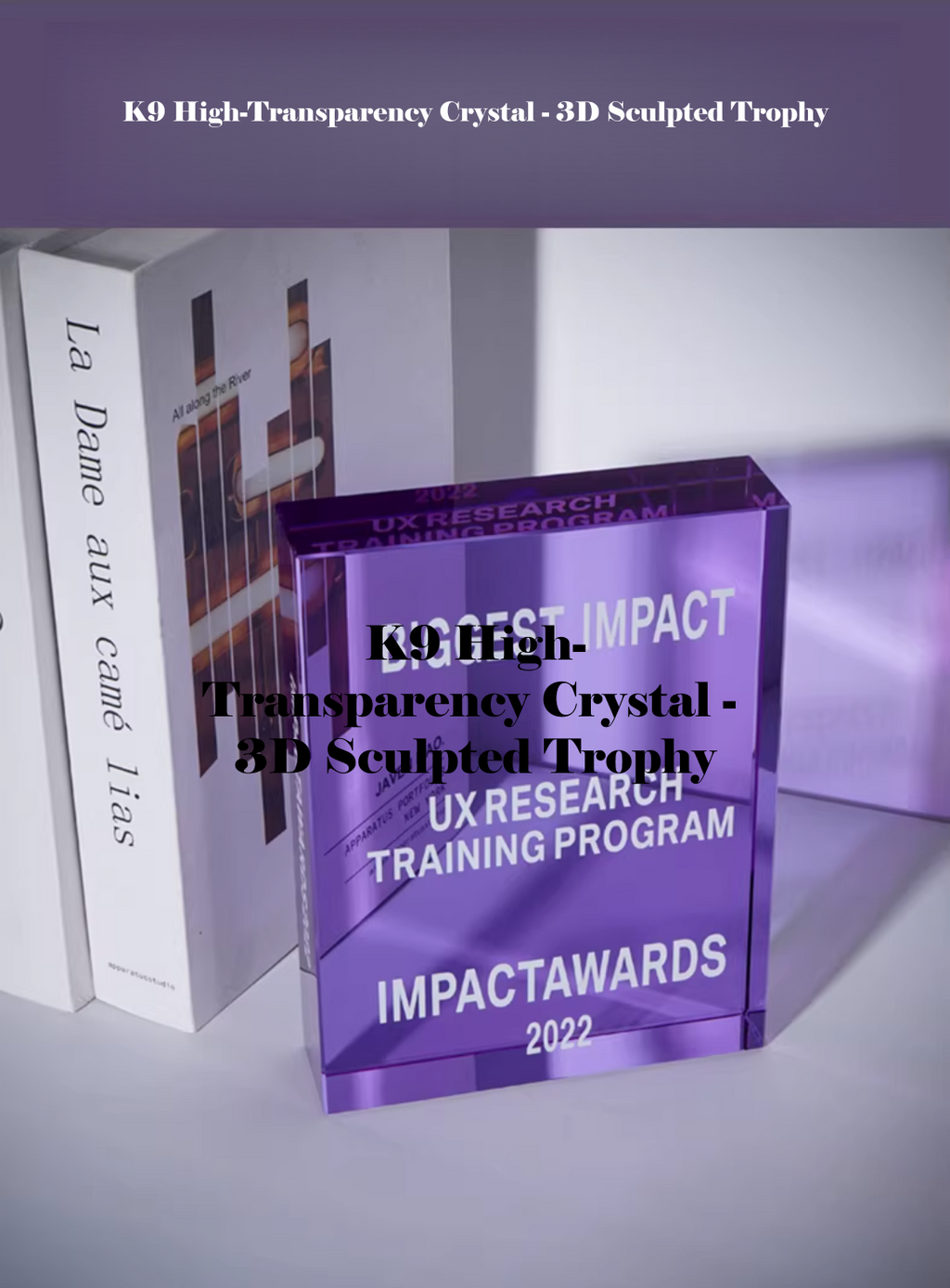 Crystal book trophy - image 6