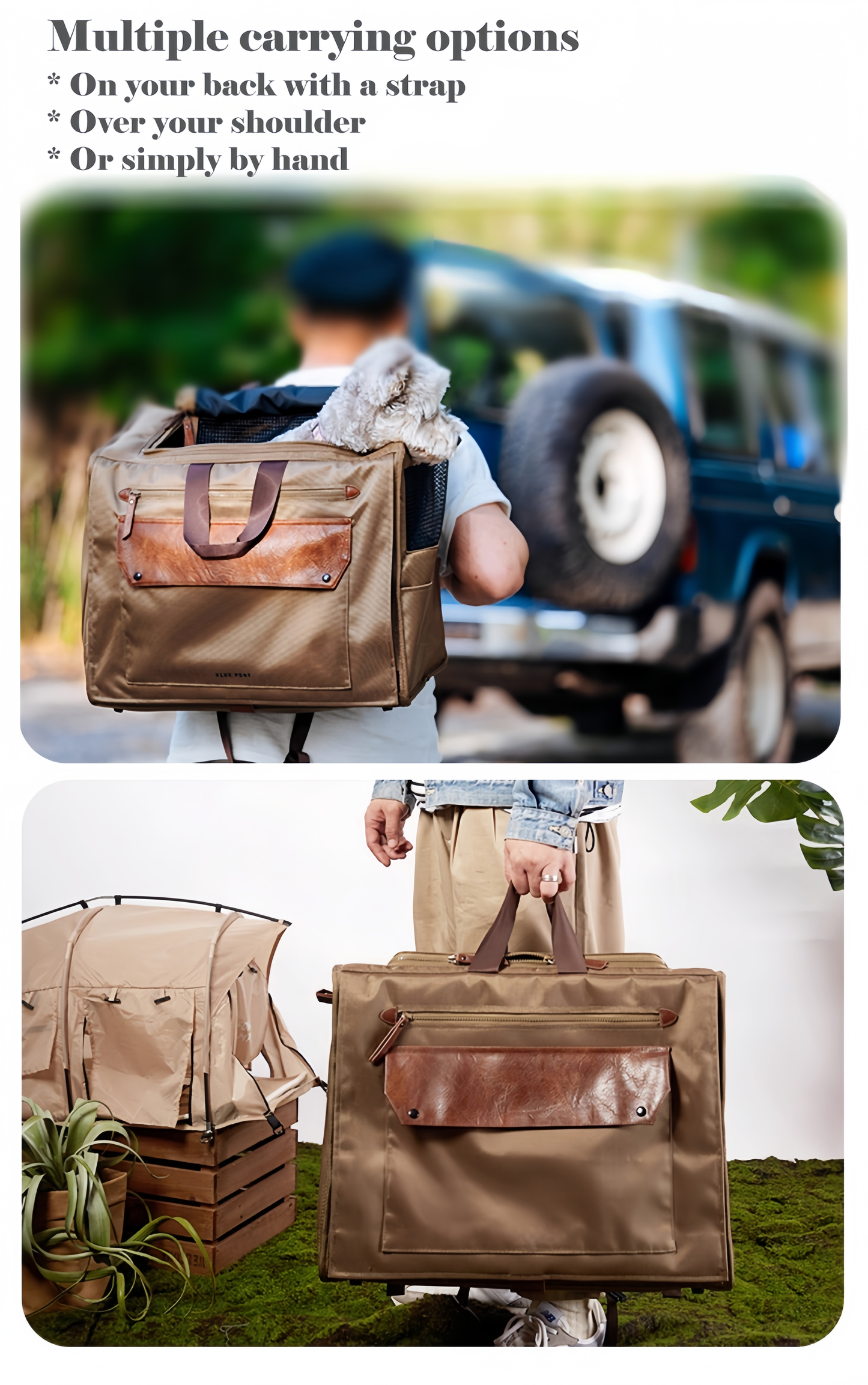 All-Season Multitravel Pet Carrier