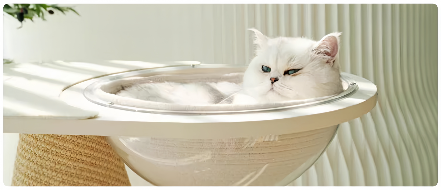 White cat sitting inside a round white pet bed on a light wooden stand.