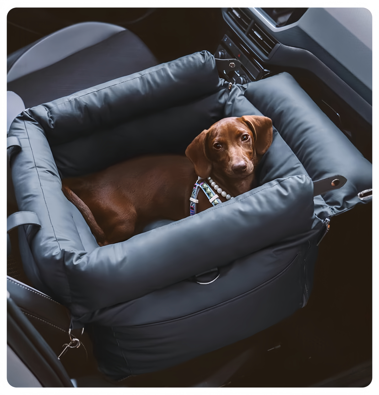 Stylish Three-In-One Pet Car Seat