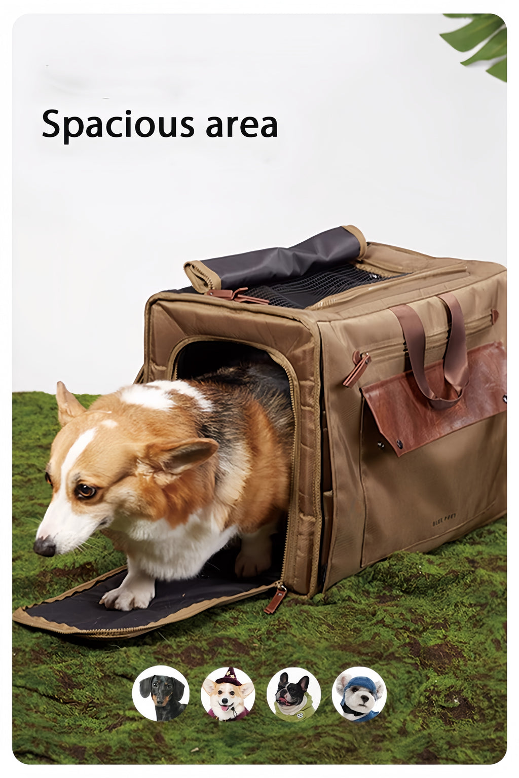 All-Season Multitravel Pet Carrier - image 9