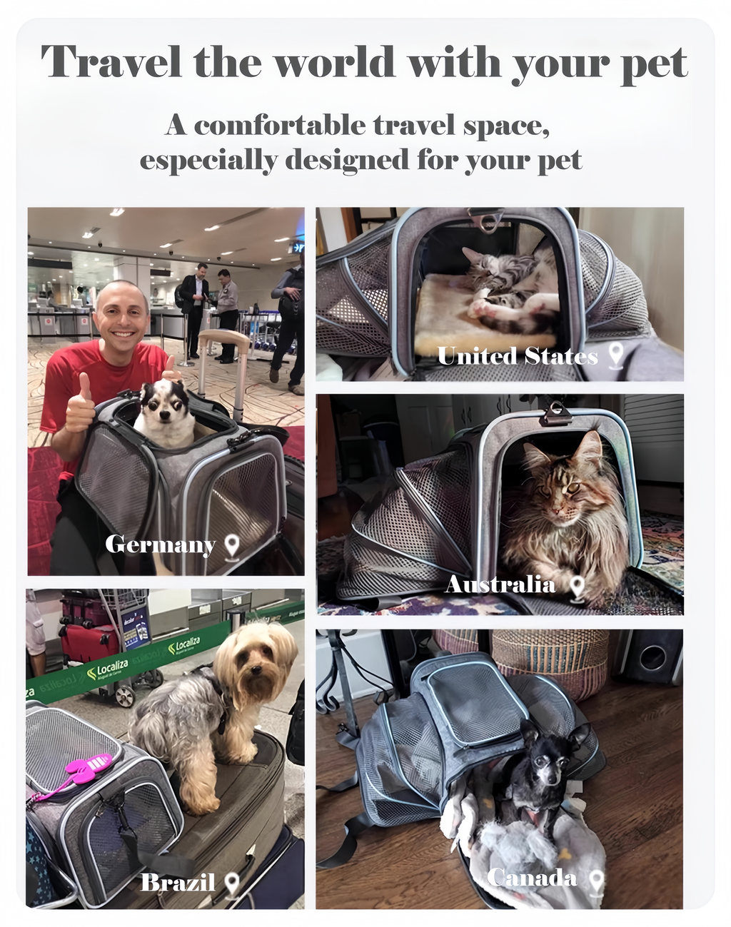 Expandable Pet Carrier for Cats and Small Dogs - image 10