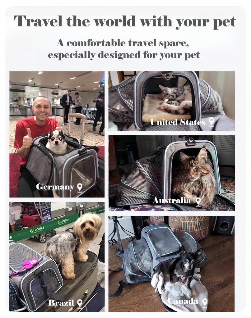 Expandable Pet Carrier for Cats and Small Dogs - image 10
