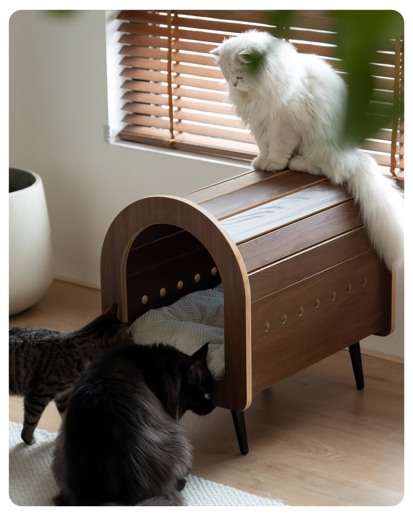 Elevated Wooden Cat Bed for Cozy Naps