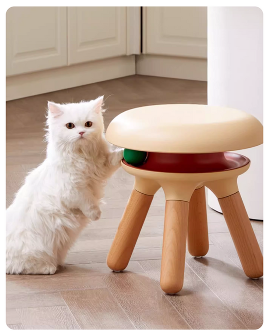 White cat interacting with a small stool on a wooden floor.