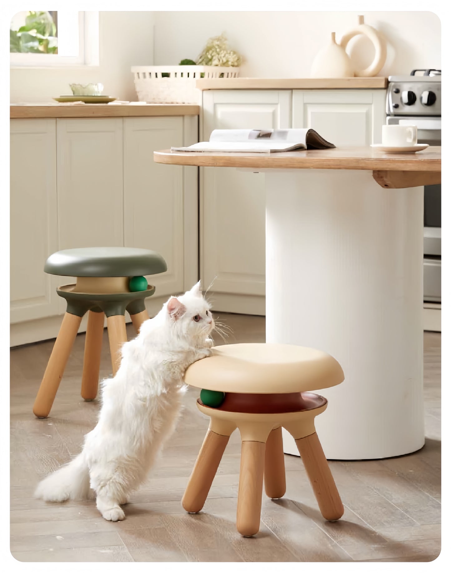 White cat interacting with a small stool in a kitchen setting