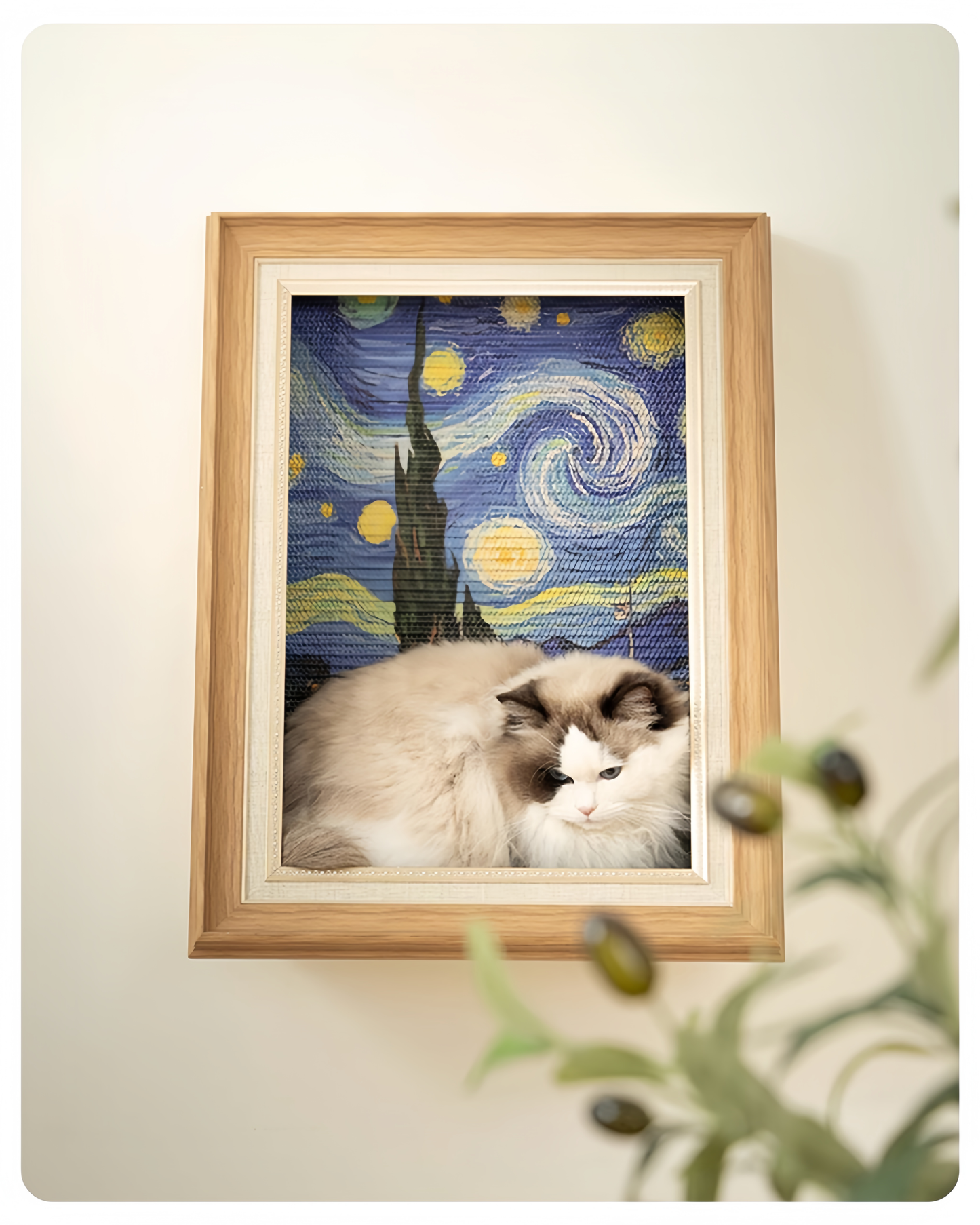Framed artwork with a cat in front of a Starry Night painting