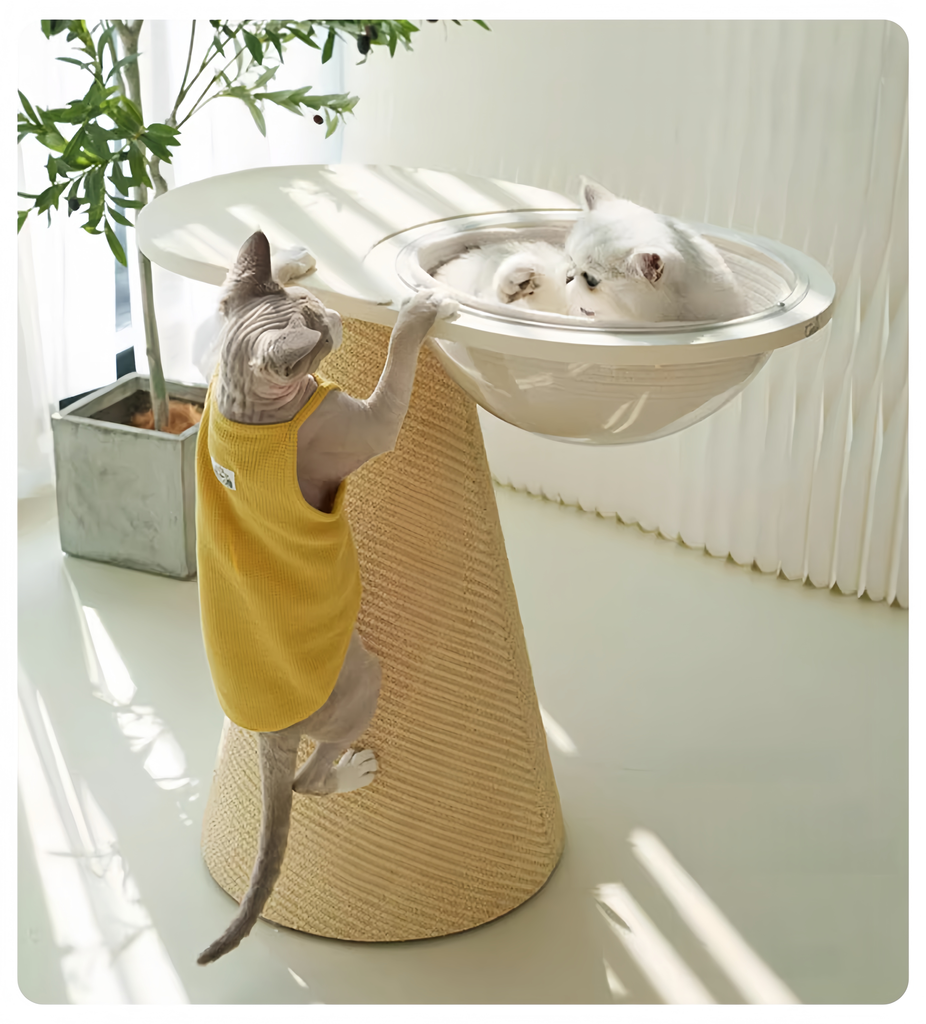 Cat Scratcher with Resting Platform - image 1
