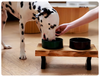 Elevated Ceramic Pet Bowls Set for Cats & Dogs