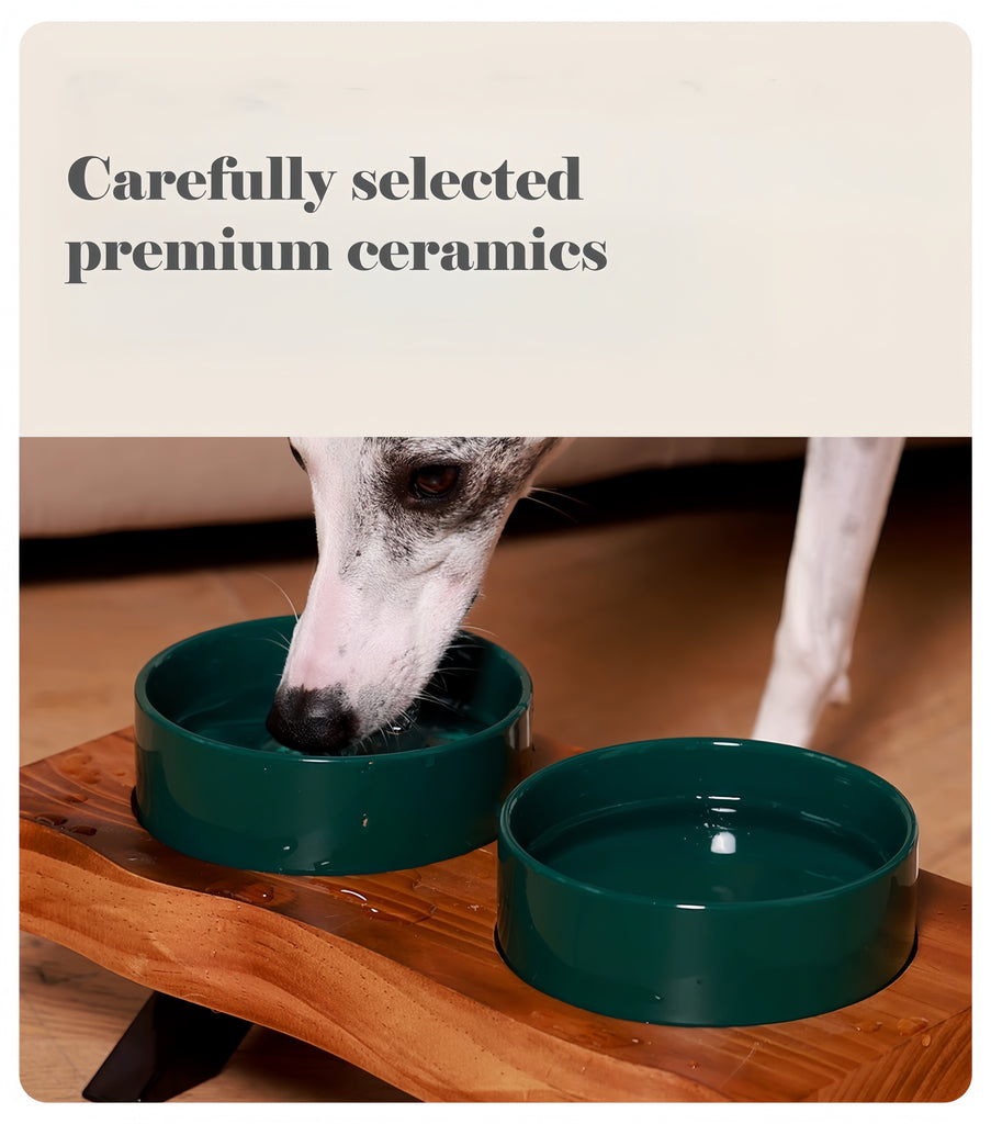 Elevated Ceramic Pet Bowls Set for Cats & Dogs - image 9